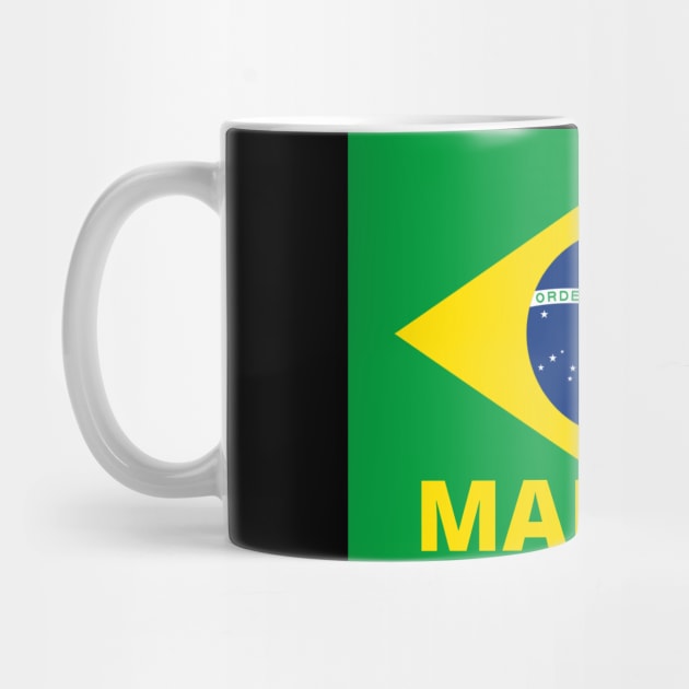 Manaus City in Brazilian Flag by aybe7elf